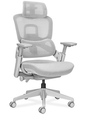 Executive Mesh Chair with Headrest