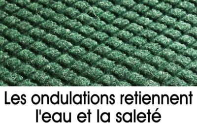 Boutons de fibres sur le tapis