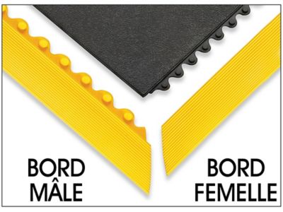 Bords mâle et femelle