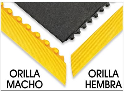 Bordes Macho y Hembra