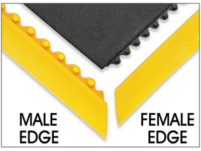Male and Female Edges