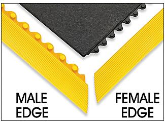 Male and Female Edges