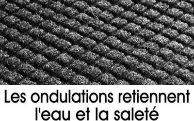 Boutons en fibres sur le tapis