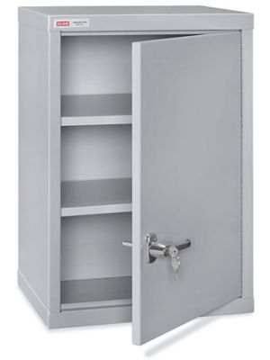  Wall-Mount Cabinet - Standard, 18 x 14 x 27"