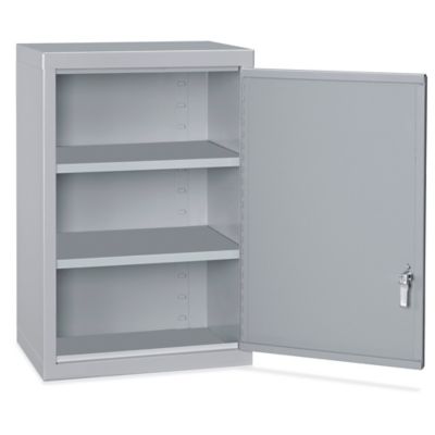 Carruthers 27 W x 29 H Wall Mounted Cabinet