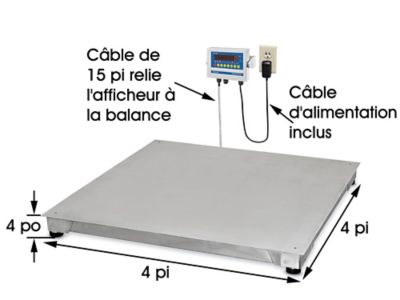 40,000 lb Low Profile Floor Scale - Holtgreven