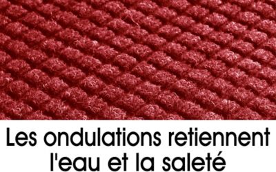 Boutons en fibres sur le tapis