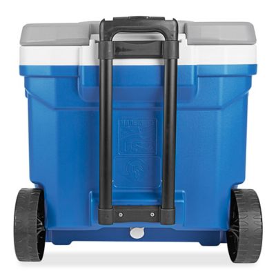 Fluzzle Tube 46-Quart Interlocking Rectangular Cooler