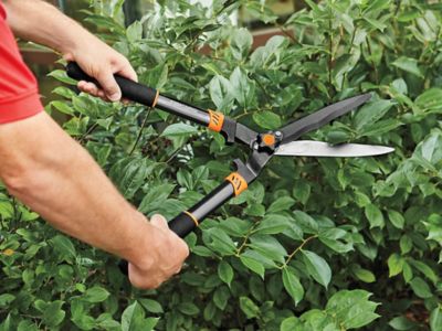 Fiskars Comfort Loop - Tijeras de podar con micropuntas, tijeras de jardín  de 7 pulgadas con funda y mango extra grande SoftGrip, herramientas de