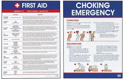 First Aid Posters