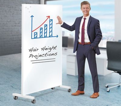 Glass Dry Erase Partition