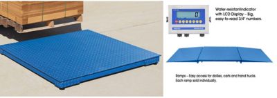 All-Weather Low Profile Floor Scales