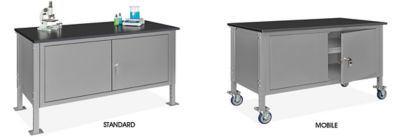 Établis de laboratoire avec armoire