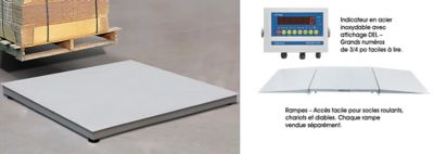 Balances de plancher à profil bas en acier inoxydable