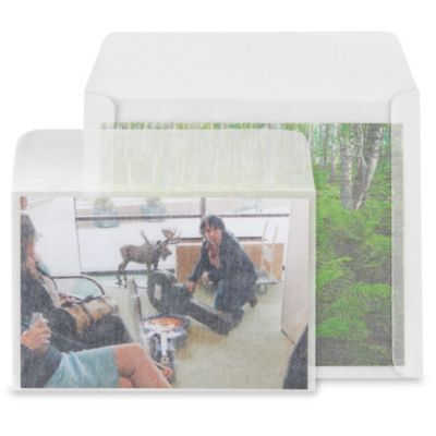 50 PCS Glassine Envelopes, 2.75x3.94inches Glassine Bags Vellum