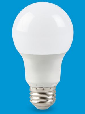 LED Screw-In Light Bulbs