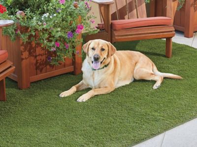 Tapis d'herbe artificielle