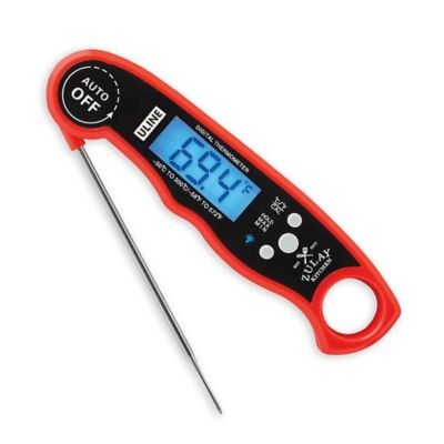 Digital Thermometer