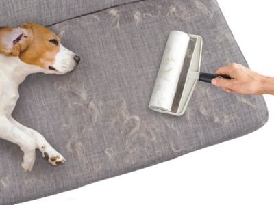 Spotty<sup>&trade;</sup> Pet Hair Lint Roller