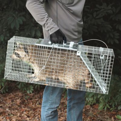 Pièges à animaux vivants
