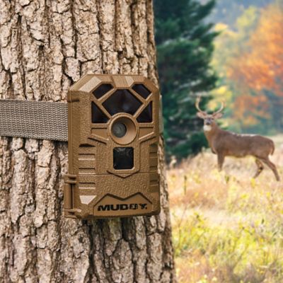 Trail Camera