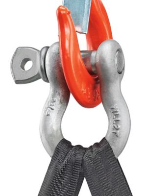 Anchor Shackles
