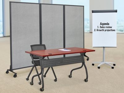 Mobile Privacy Dividers