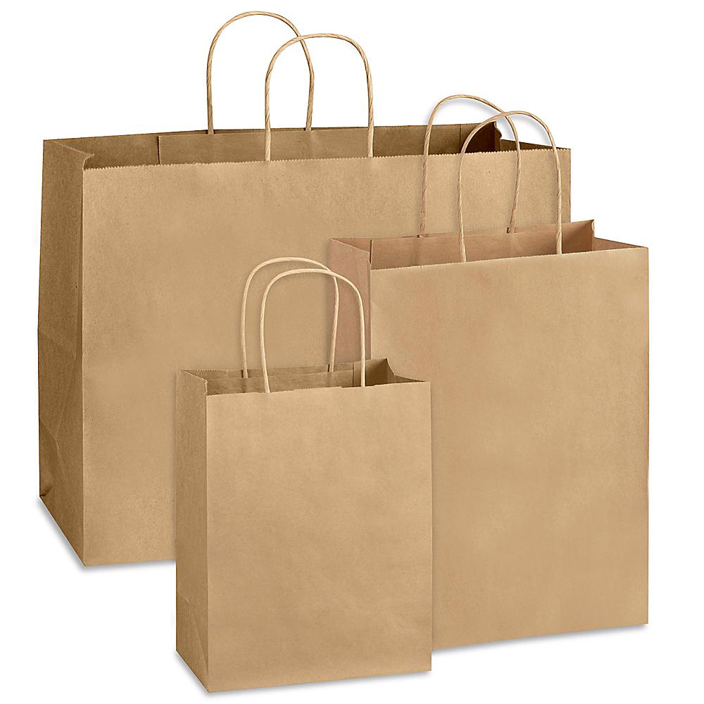 6 1/2 x 3 1/2 x 13 250 Bags Kraft Paper Double Wine Shoppers Kraft-Recycled 