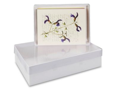 Clear Top Stationery Boxes
