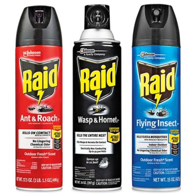 Insecticide à vaporiser pour guêpes, Insecticide à vaporiser pour cafards,  Raidᴹᴰ – Insecticides en Stock - ULINE.ca