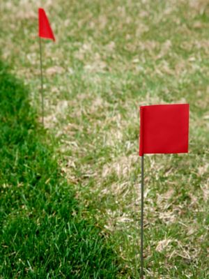 Stake Flags