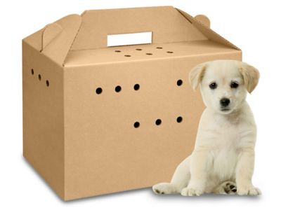 Corrugated Pet Carrier