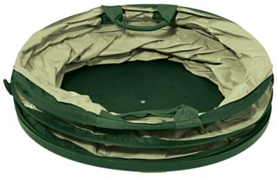 Collapsible Container