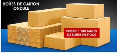 Boîtes. Plus de 1 700 tailles de boîtes en stock.