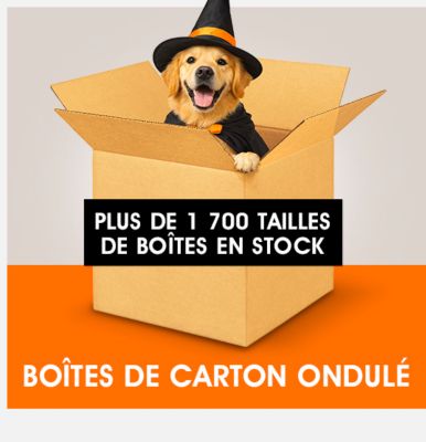 Boîtes de carton ondulé. Plus de 1700 tailles de boîtes en stock.