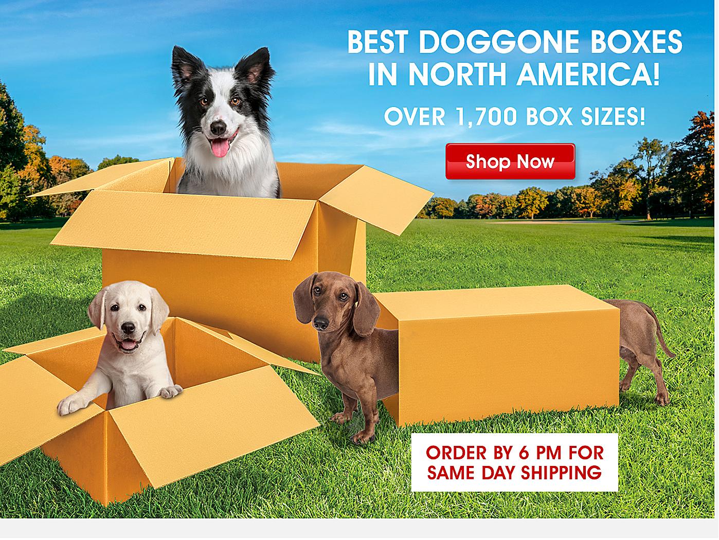 Best Dog-gone boxes in North America! Over 1,700 Box Sizes in North America. Shop Now. ORDER BY 6 PM FOR SAME DAY SHIPPING