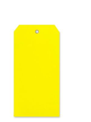  Plastic Tags - 6 1/4 x 3 1/8"