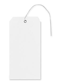 Plastic Tags - 6 1/4 x 3 1/8", White, Pre-wired S-10749W-PW