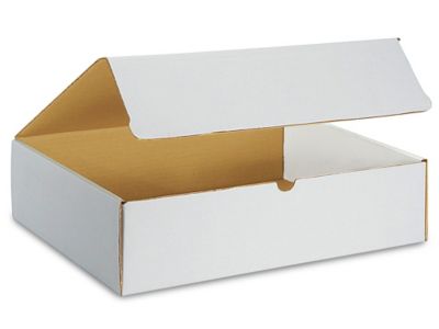 15 1/8 x 11 1/8 x 3" White Literature Mailers S-11240