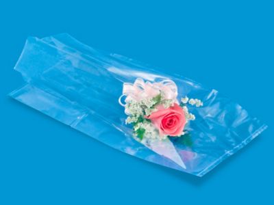 Clear Cellophane Bags (Pleated)