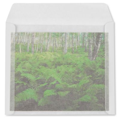 Glassine Envelopes - 9 1/2 x 11" S-11836