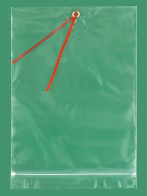 4120A, 4 x 6 - Clear Resealable Bag, Hang Hole