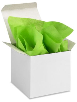 Tissue Paper Sheets - 15 x 20", Citrus S-13177CIT