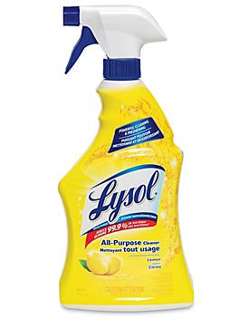 Lysol Disinfectant Spray - 650 mL Bottle S-13835