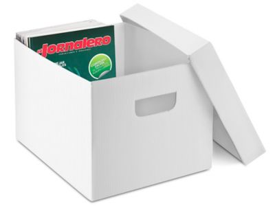 Caja de Plástico para Archivos 15 x 12 x 10