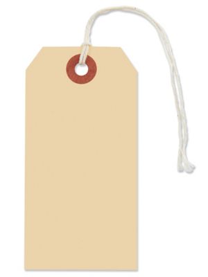 Kaytag 11495 10 Pt. Blank Manila Paper Tag, 2.375 W x 4.75 H