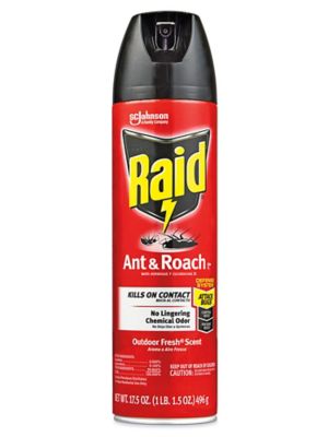 Raid&reg; Ant and Roach Spray - 17.5 oz Can S-15767
