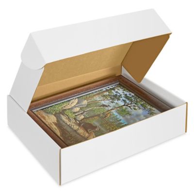 24 x 18 x 6" White Tab Locking Literature Mailers