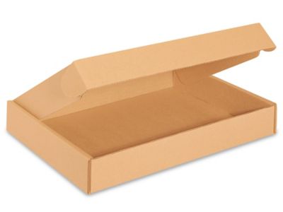 LZYKJGS 35 x 25 x 5 cm Caja de Envío Kraft para Envios de Paquete, Pack 20,  Cajas de Carton con Tapa para Regalo o Embalaje (Blanco) : :  Oficina y papelería