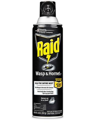 Raid® Wasp and Hornet Killer - 14 oz Can S-17539 - Uline